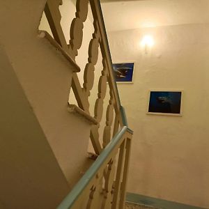 Demivie Guesthouse